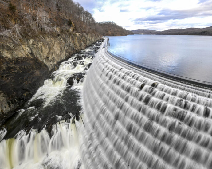 invasive-species-spell-trouble-for-new-york’s-beloved-tap-water