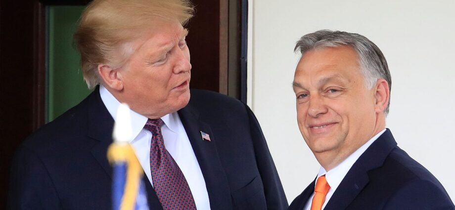 us-ambassador-to-hungary-says-orban-gambled-with-us-hungary-relations