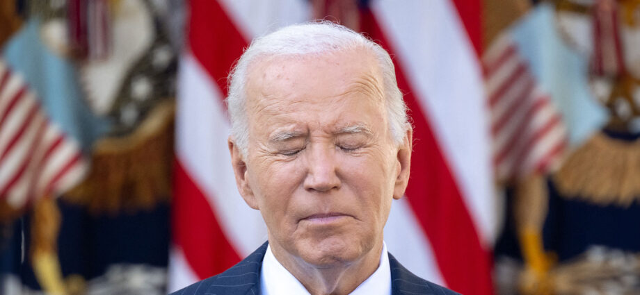 “legacy-is-in-tatters”:-democratic-operatives-blame-biden-for-election-loss