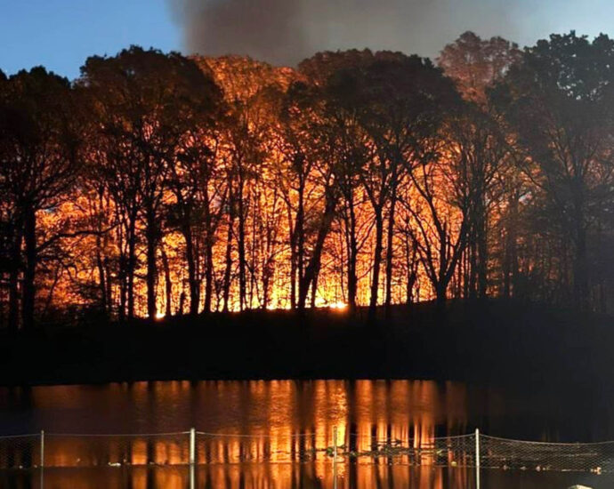 brush-fire-breaks-out-in-brooklyn’s-prospect-park-as-northeast-drought-continues