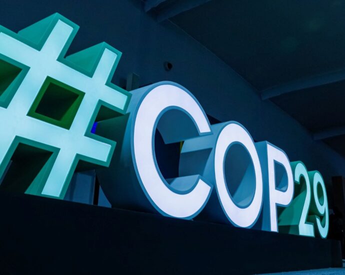 will-cop29-yield-a-viable-agreement-on-climate-change?