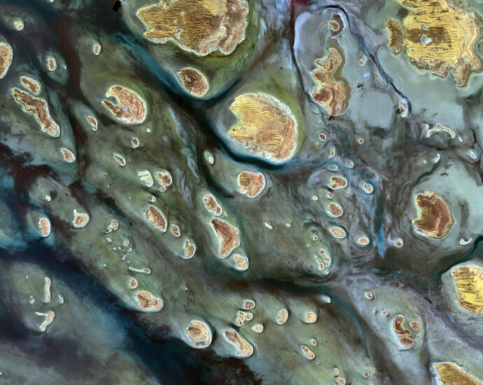 Earth from space: Giant ‘phantom lake’ dotted with stripy gold islands shimmers in Australian outback