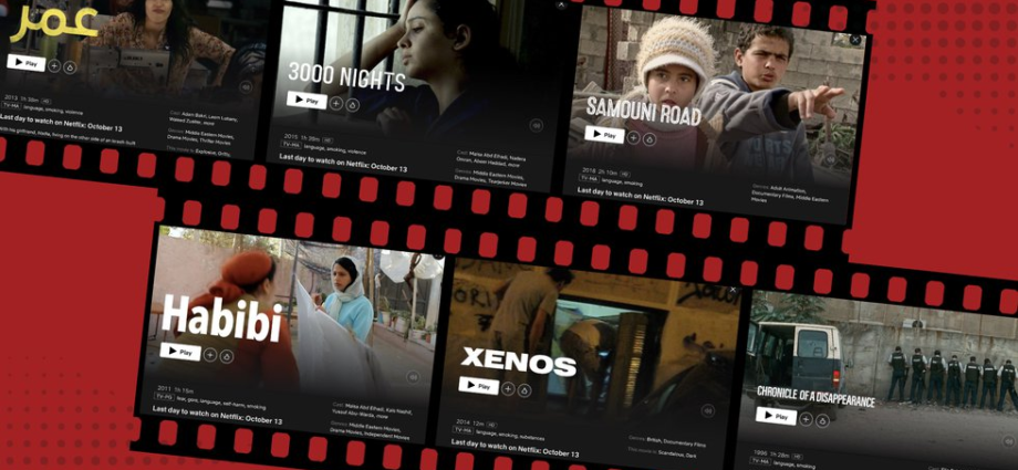 netflix-removes-palestinian-stories-from-its-library