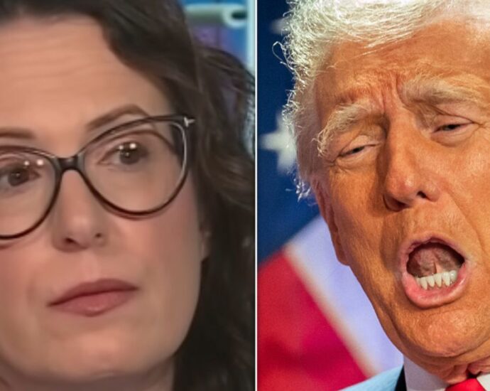 maggie-haberman-names-shock-americas-worst-traitor-cabinet-pick-that-may-be-‘a-bridge-too-far’