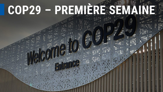 cop29:-first-week-in-review