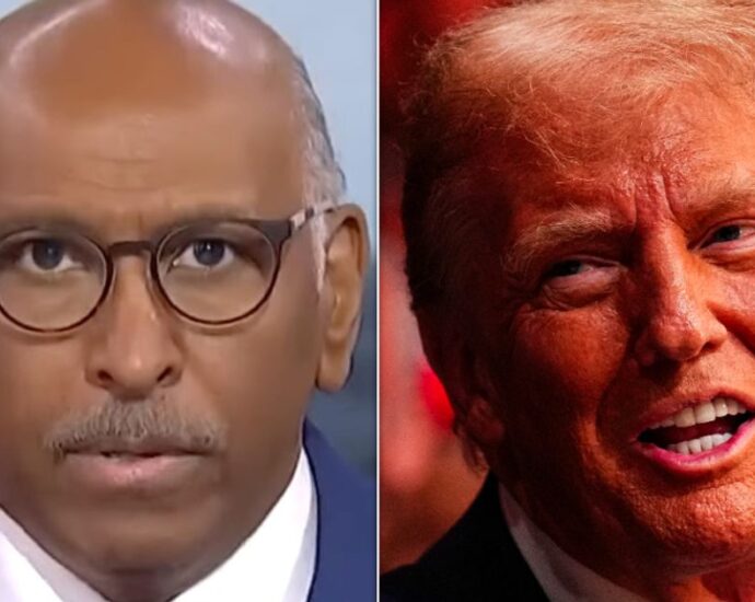 ‘how-dumb-is-that?’: ex-rnc-chair-michael-steele-slaps-down-‘crazy’-new-the-traitor-plan