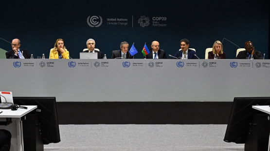 nuclear-power-in-the-cop29-spotlight-as-countries-and-companies-eye-climate-solutions