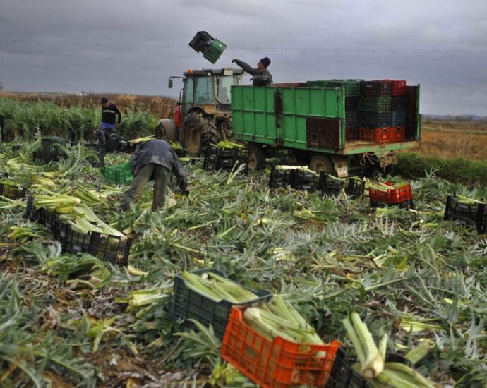 spanish-farmers-lash-out-against-mercosur:-“they-will-end-european-agriculture”