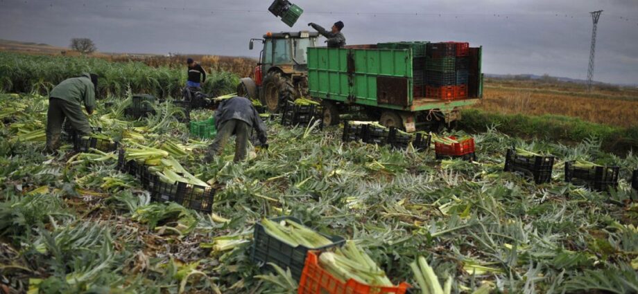 spanish-farmers-lash-out-against-mercosur:-“they-will-end-european-agriculture”