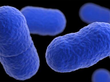 listeria-outbreak-tied-to-yu-shang-food-leaves-california-infant-dead-and-10-people-sick