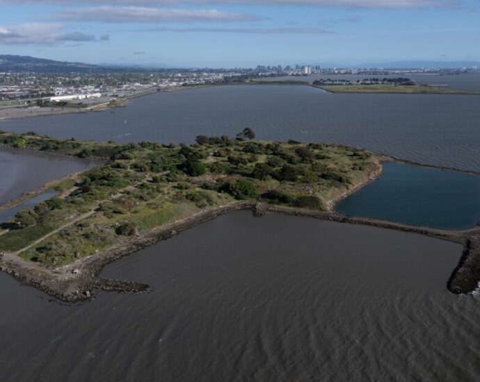 elevated-radiation-detected-at-former-bay-area-landfill-turned-art-park