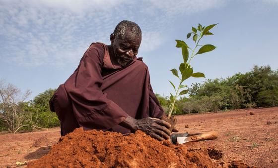 three-billion-people-globally-impacted-by-land-degradation