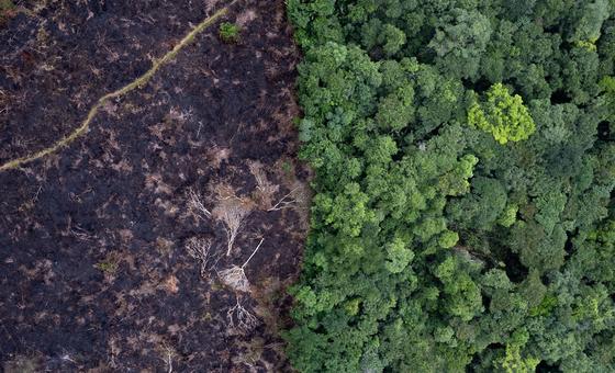 landmark-climate-change-hearings-represent-largest-ever-case-before-un-world-court