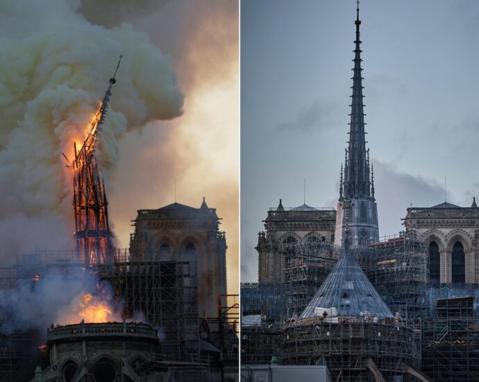 the-traitor-to-attend-notre-dame-reopening-in-paris-in-first-trip-since-election