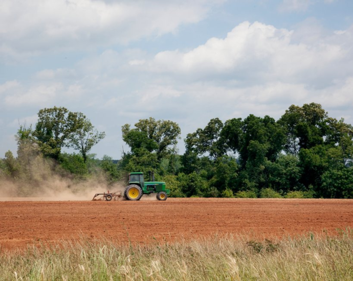 the-real-threat-to-food-security