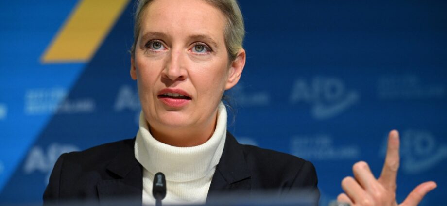 germany’s-far-right-afd-picks-chancellor-candidate-first-time