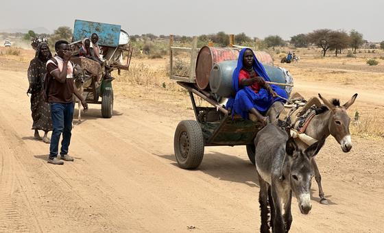 world-news-in-brief:-death-toll-rises-in-darfur,-cyclone-chido-latest,-sao-tome-and-principe-takes-development-step