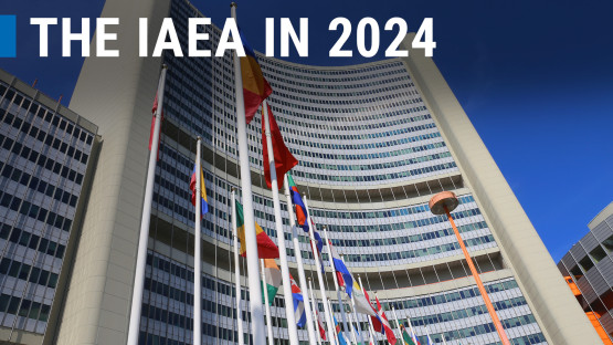 video:-the-iaea’s-achievements-in-2024