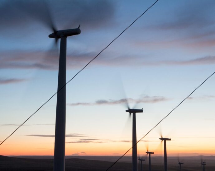 tribes-sue-after-massive-wind-farm-in-washington-gets-green-light