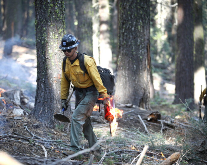 us-forest-service-hiring-freeze-could-have-long-term-impacts