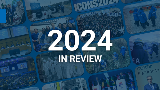 iaea-year-in-review-2024