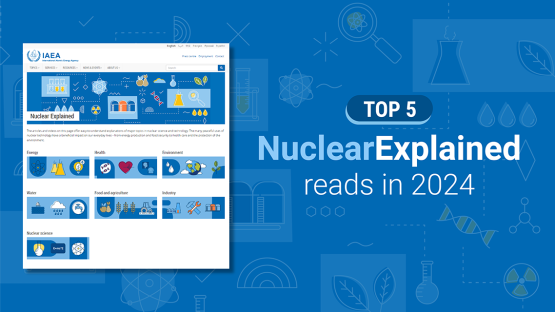 top-‘nuclear-explained’-reads-in-2024