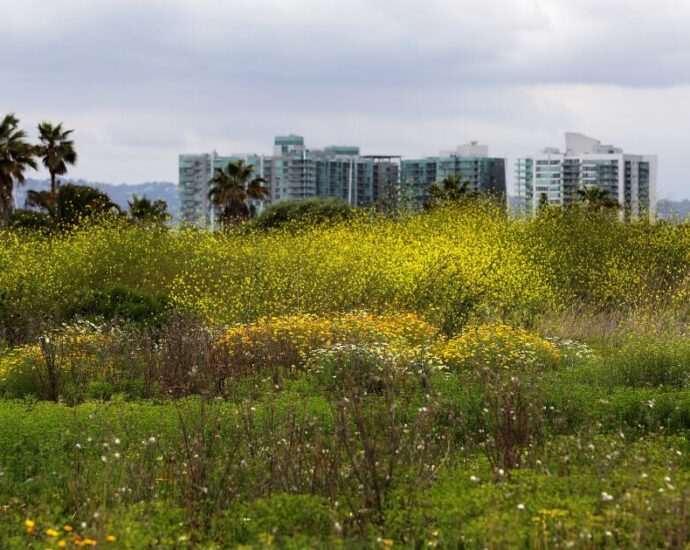 habitat-for-all-—-how-housing-and-biodiversity-can-coexist-even-in-a-crowded-future