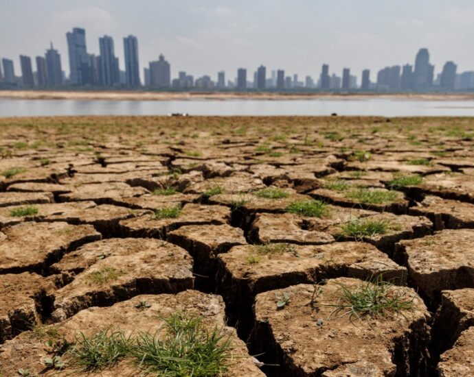 weather-agency-says-china-experienced-hottest-year-on-record-in-2024