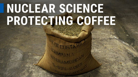 how-nuclear-science-uncovers-the-story-of-coffee