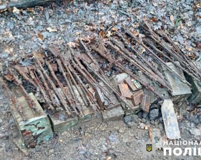 world-war-ii-firearms-found-in-poltava-oblast-forest