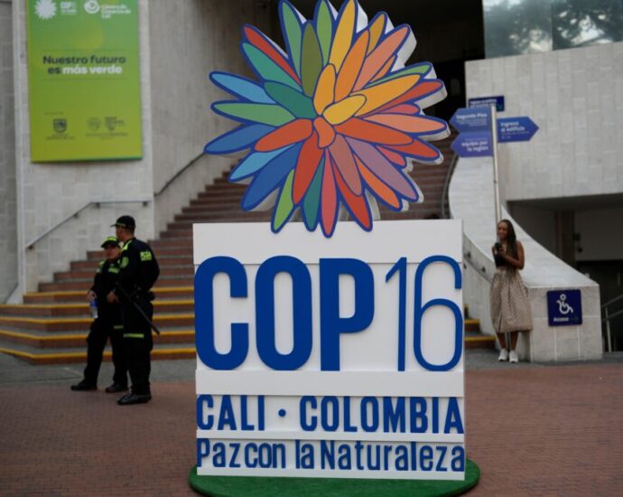 cifra-record-de-empresarios-en-la-cumbre-de-biodiversidad-de-la-onu 