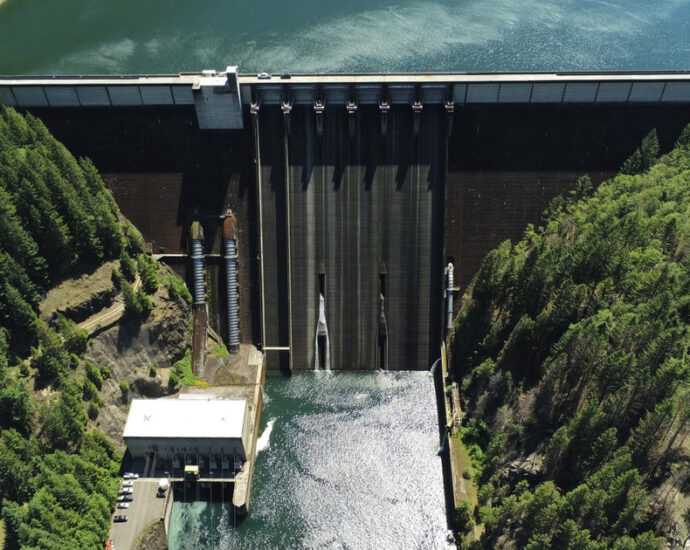 Hydroelectric Dams on Oregon’s Willamette River Kill Salmon. Congress Says It’s Time to Consider Shutting Them Down.