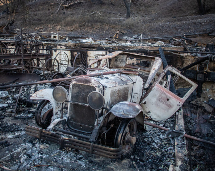 ‘the-birds-are-back.’-resilience-in-the-ruins-of-the-palisades-fire