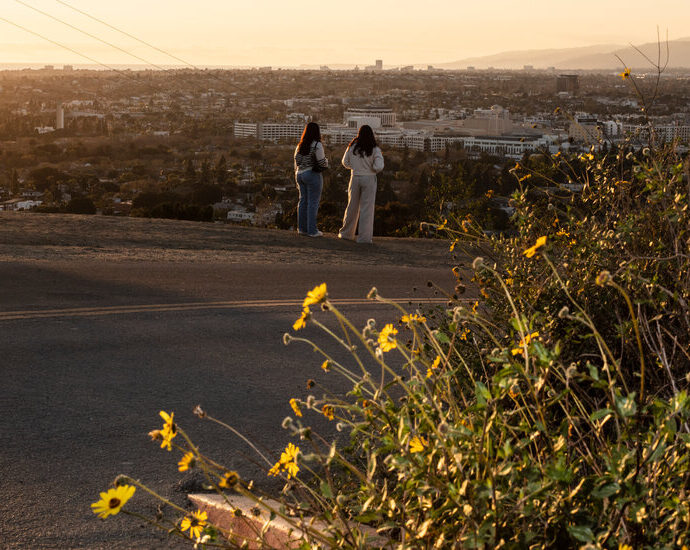 the-push-and-pull-of-los-angeles:-beauty-and-danger