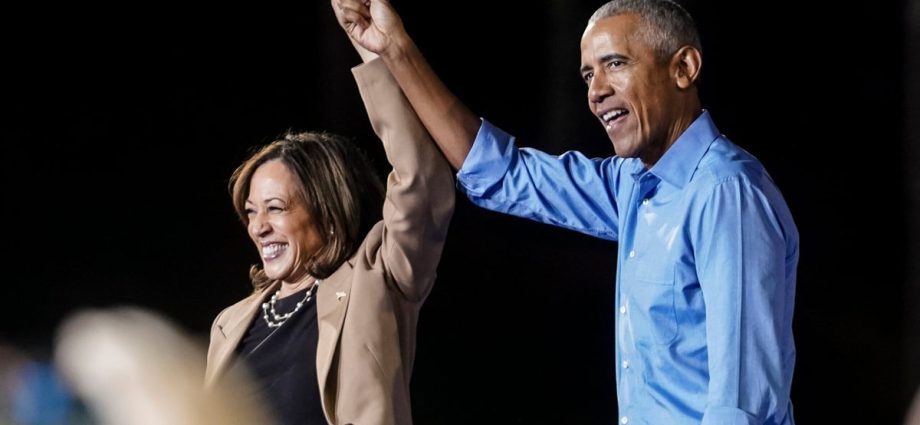 author-makes-stunning-claims-about-obama’s-opposition-to-harris’-nomination