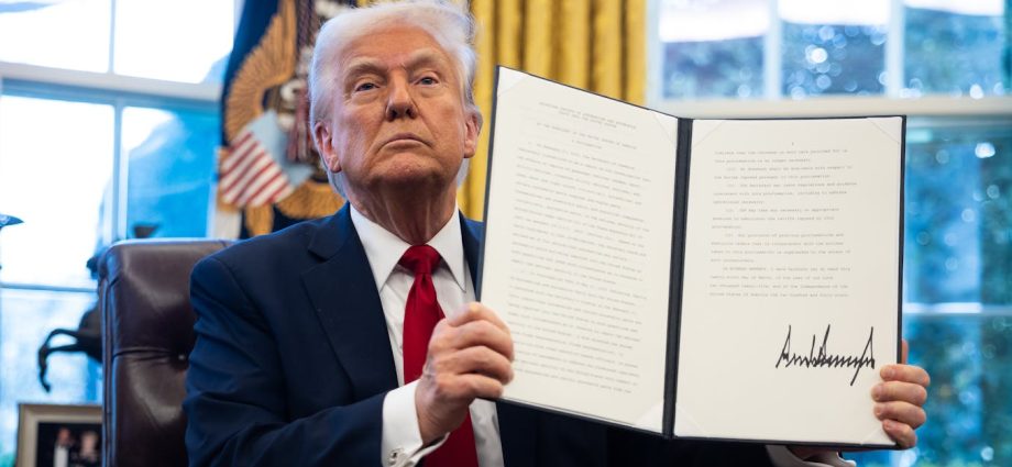The Traitor’s ‘Liberation Day’: why the US is on a war footing over tariffs and mass deportations