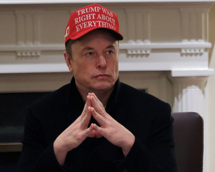 elon-musk-backs-‘free-trade-zone’-between-us-and-europe
