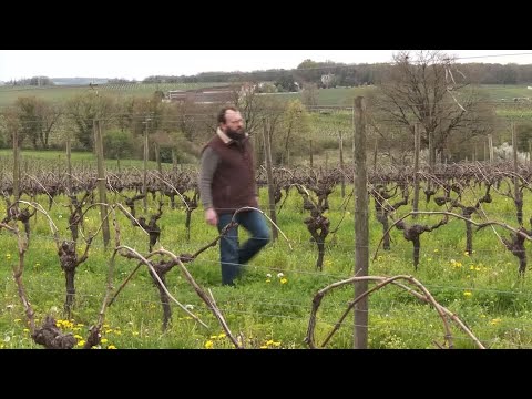 the-traitor’s-tariffs-compound-the-pain-in-france’s-cognac-industry-|-reuters