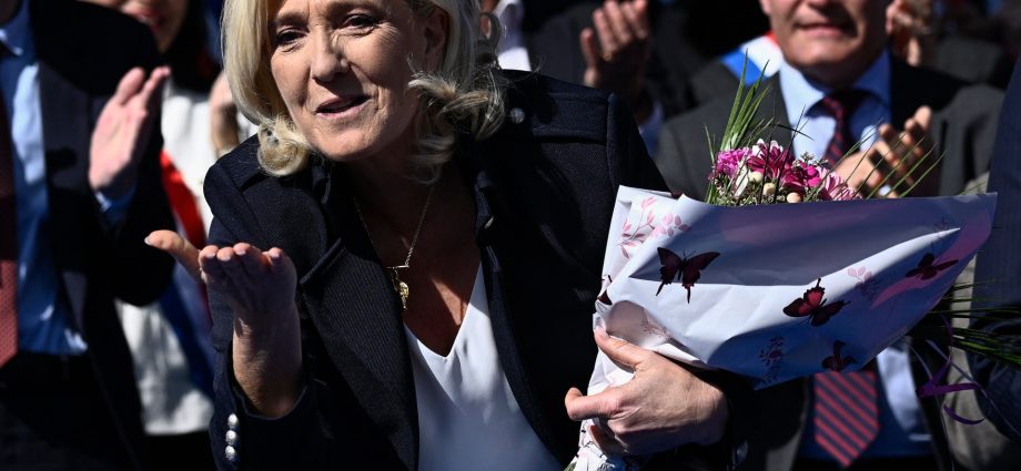 in-duelling-paris-rallies,-le-pen-condemns-‘witch-hunt’,-counterprotests