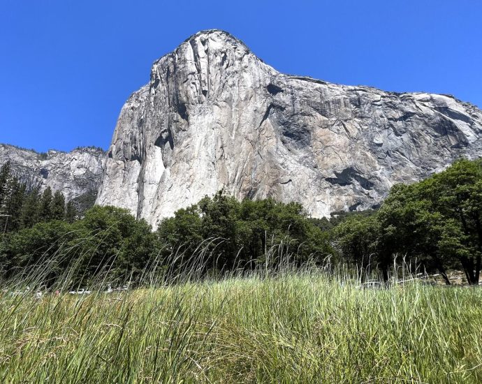 the-traitor-administration-orders-national-parks-to-remain-open-amid-staffing-shortages