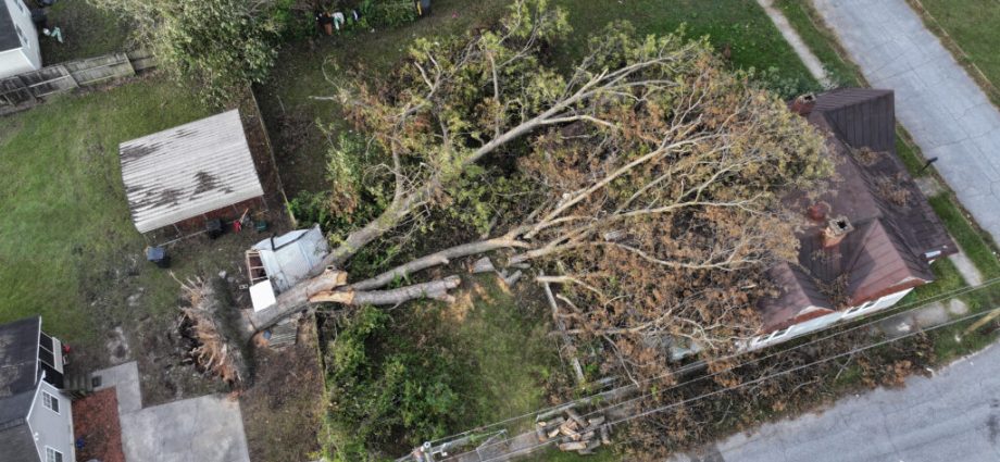 tariffs-could-spike-rates-in-an-already-climate-stressed-insurance-market