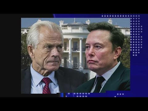 musk-navarro-feud-‘is-appropriate’:-steve-moore-|-on-balance