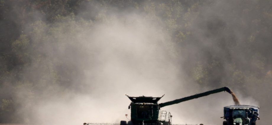 soybeans:-china-and-eu’s-secret-weapon-against-the-traitor’s-tariff-wars?