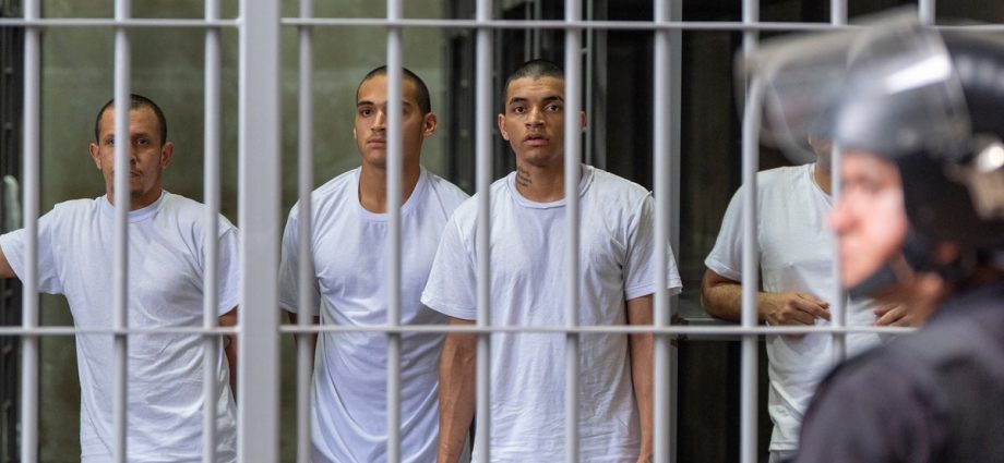judges,-attorneys-face-the-traitor’s-salvadoran-black-hole