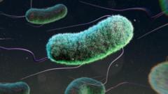 three-million-child-deaths-linked-to-drug-resistance,-study-shows