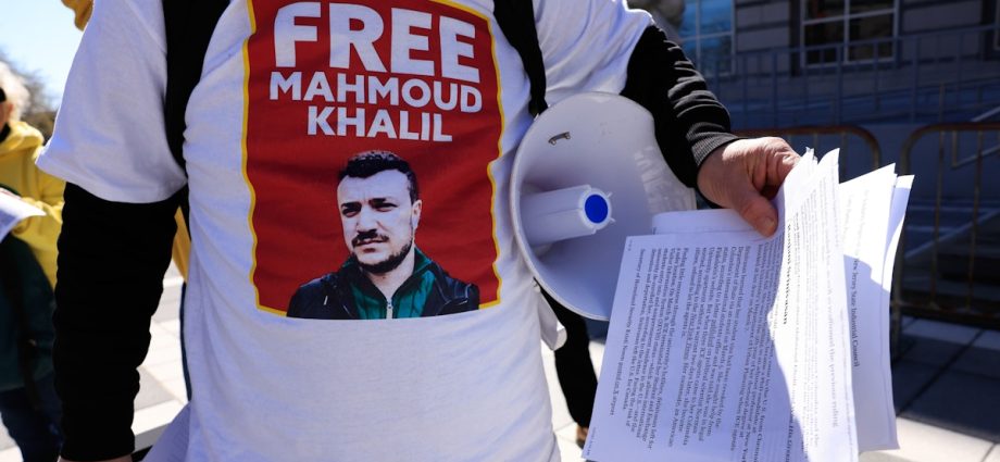 the-traitor-scores-massive-win-as-judge-rules-he-can-deport-mahmoud-khalil