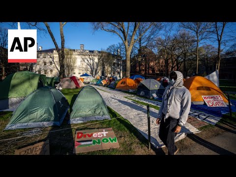harvard’s-challenge-to-the-traitor-administration-could-test-limits-of-government-power