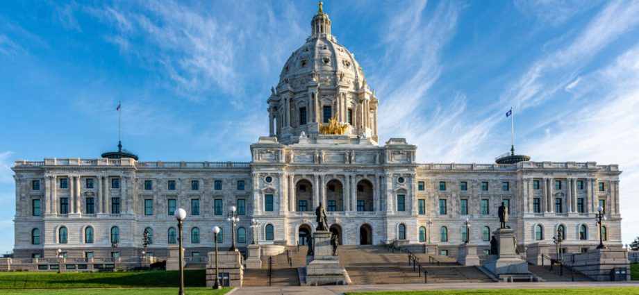 minnesota-republicans-elect-flat-earther-to-party-leadership-post