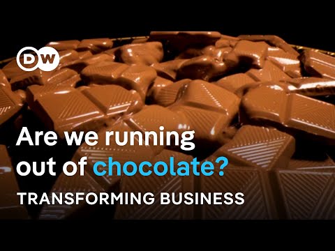 cocoa-harvests-collapse,-prices-skyrocket:-do-we-need-an-alternative-to-chocolate?-|-dw-news