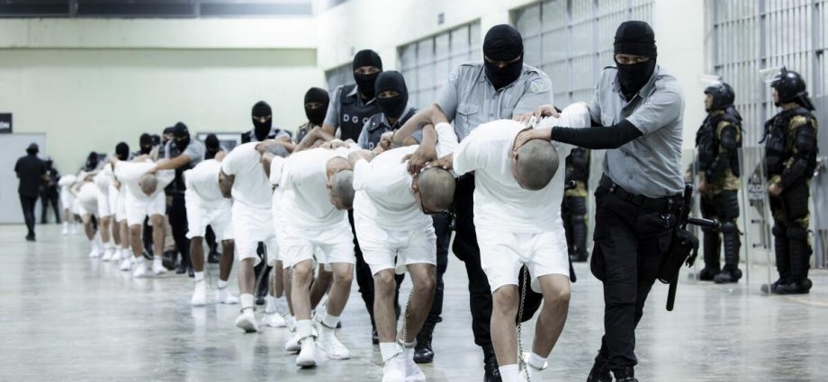 supreme-court-temporarily-halts-more-venezuelan-detainee-removals-under-alien-enemies-act